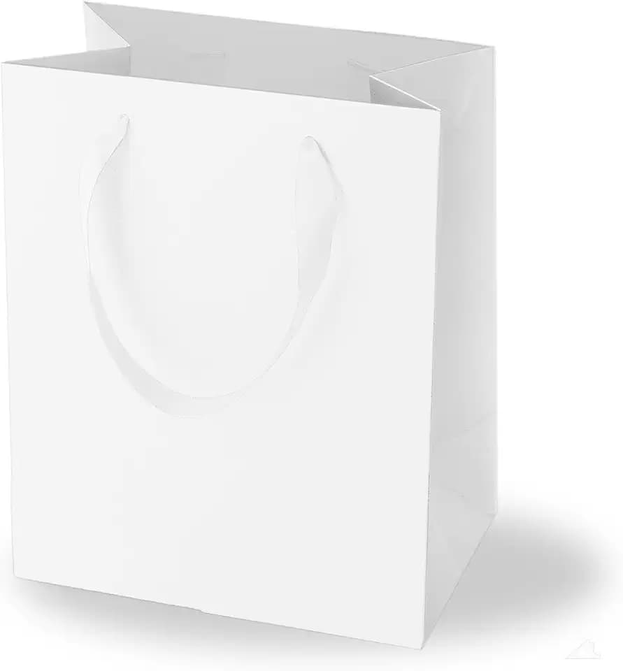 Argivean 6Pcs Medium White Gift Bags With Handles 8x5x10 Inch