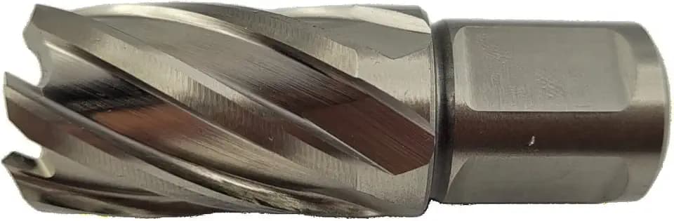 WRS Präz.-Kernbohrer aus HSS, 30 mm Schnitttiefe, 19 mm Weldonschaft, Größe: 21,0 mm Ø