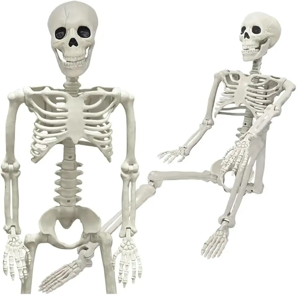 2 Pack 36" Life Size Posable Halloween Skeleton, Indoor Halloween Decor for Graveyard, Haunted House, Yard, Patio, Lawn, Garden & Spooky Party Props