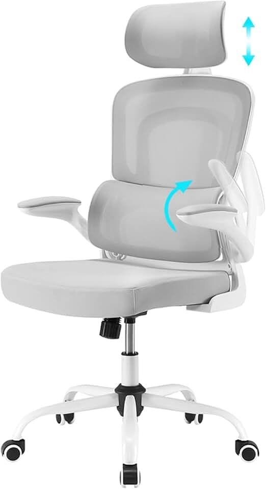 Farini Ergonomischer Stuhl Büro Computer Stuhl mit Rollen Schreibtisch für Bequemer Home Office Höhenverstellbar Chefsessel Bürostuhl mit Kopfstütze, Grauweiß