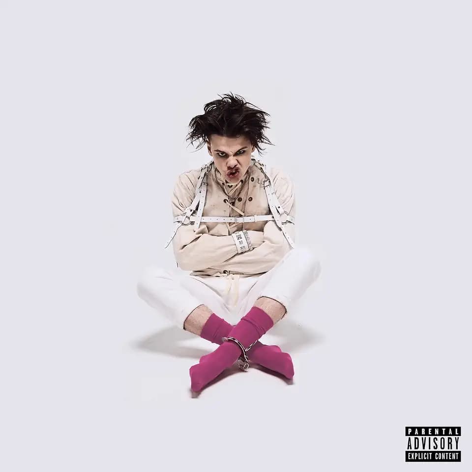 21st Century Liability (Lp) [Vinyl LP]
