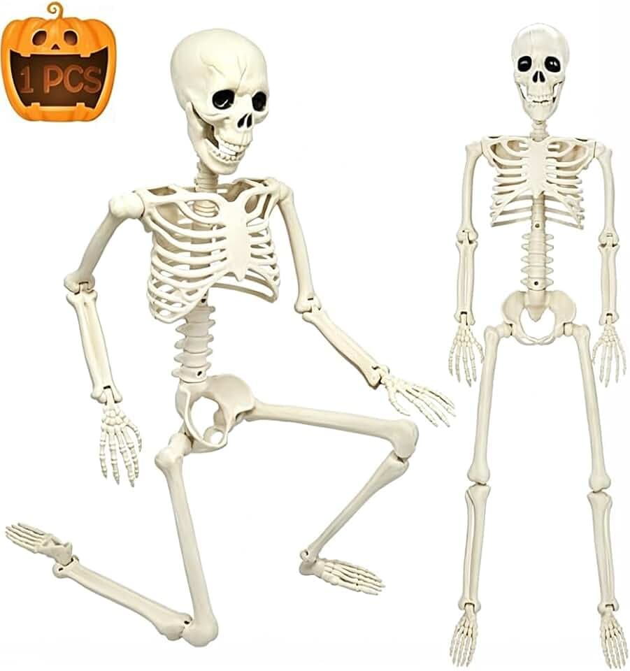 CAMIRUS 3FT Skeleton, 36" Full Body Skeleton with Movable Posable Joints, Realistic Plastic Bones Halloween Prop for Outdoor Haunted House Decorations