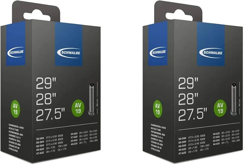 Schwalbe 2X AV 19 Schlauch 29 622 Ventil: Auto Schrader AV19 29 Autoventil