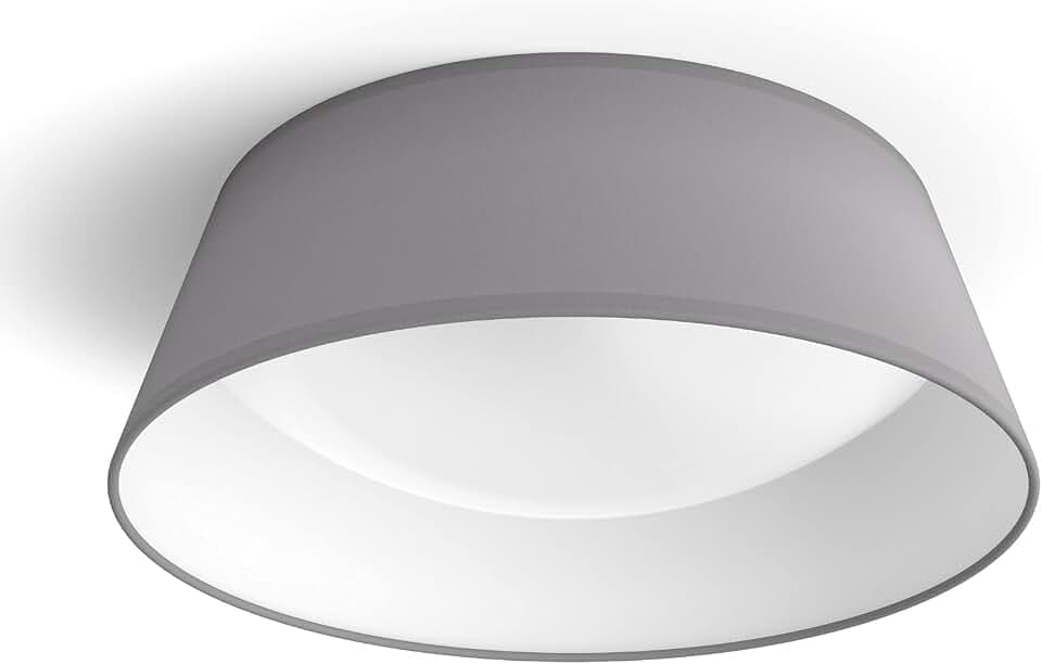 PHILIPS myLiving LED Deckenleuchte Dawn, 14W, grau