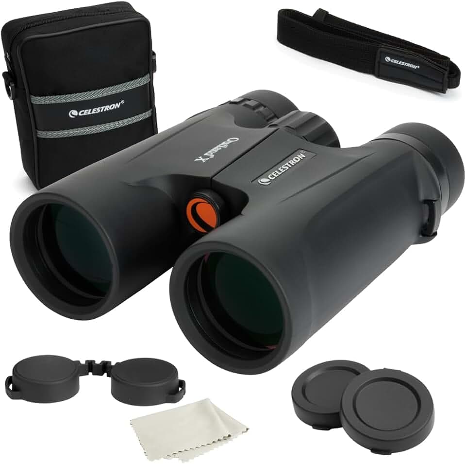 Celestron 71347 Outland X 10x42 Roof Prism Binoculars, Black