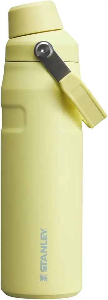 Stanley IceFlow Schnellfluss-Wasserflasche, 680 ml, abgewinkelter Auslaufdeckel, leicht und auslaufsicher, für Reisen und Sport, isolierter Edelstahl, BPA-frei, Pomelo