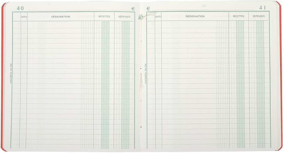 EXACOMPTA Gesch‰ftsbuch "Recettes et DÈpenses", 210 x 190 mm VE = 1