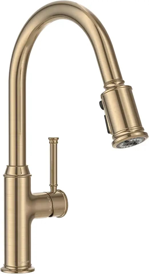 Lava Odoro Champagne Gold Kitchen Faucet with Pull Down Sprayer