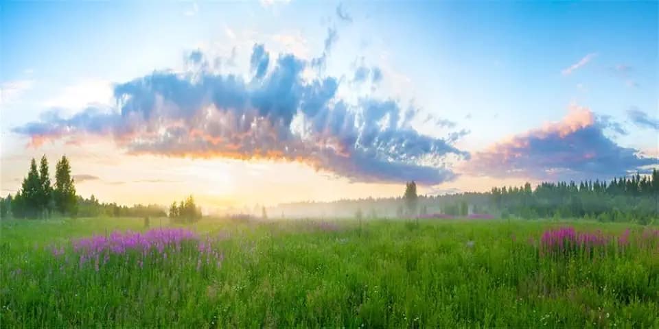 Yeele 20x10ft Vinyl Spring Summer Landscape Backdrop for Photography Rural Sunrise Field Meadow Wildflower Grass Background Banner Kids Children Photo Booth Shoot Studio Props