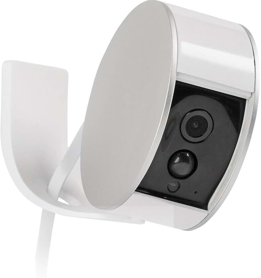 Somfy 2401496 - Wandhalterung für Indoor Kamera, Weiß | inkl. Montagezubehör | Schnell Anbringbar, 2401496A, Norme