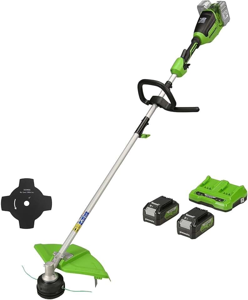 Greenworks GD24X2TXK4X Akku Rasentrimmer für kleine bis mittelgroße Gärten, 40 cm Schnittbreite, Stoßvorschub, 2 mm Doppelfaden aus Nylon, zwei 24V 4Ah Akkus & Doppel-Ladegerät, 3 Jahre Garantie