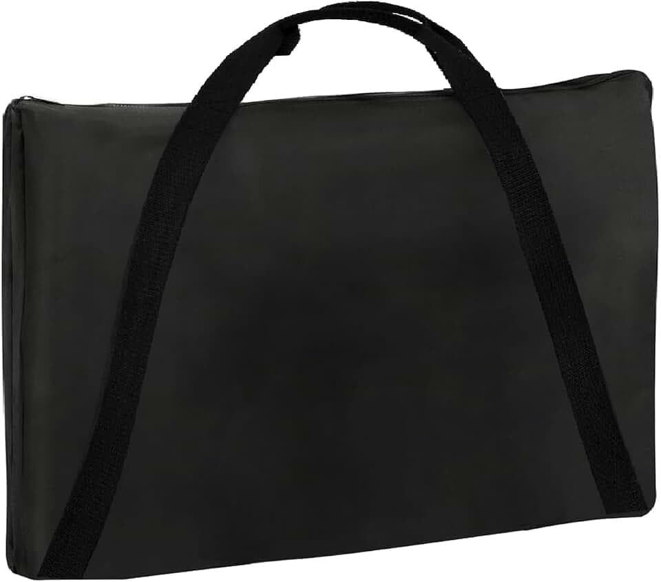 Griddle Carry Bag for Weber Spirit/Genesis300 Series Griddle, Replace 7035