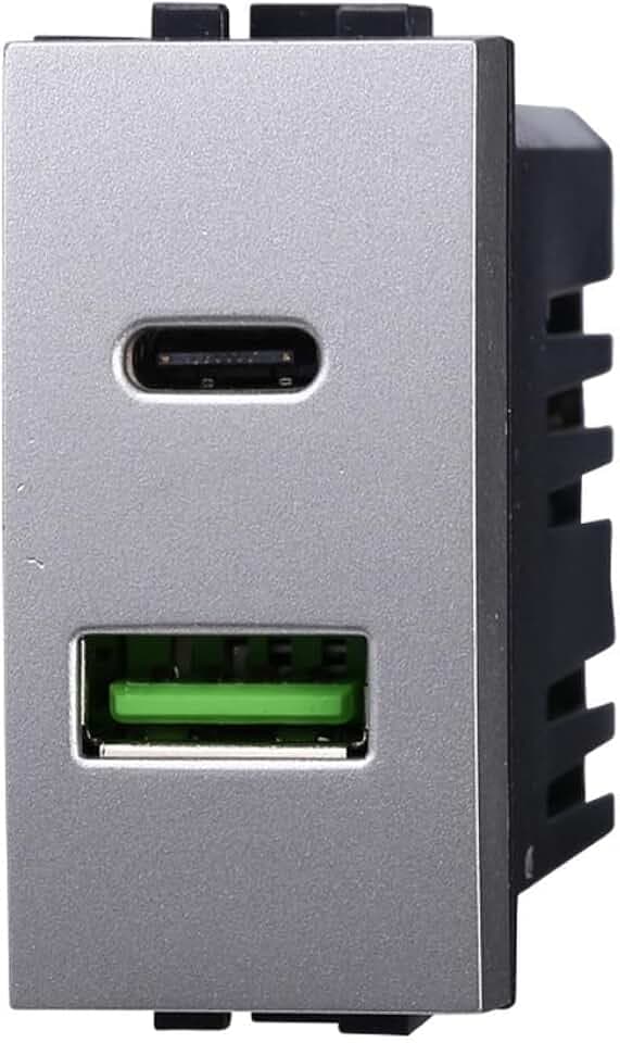 Duales USB-Ladegerät mit 2 Anschlüssen, 3,1 A USB-C + U SB A, Farbe Grau, kompatibel mit Bticino Living Light/International, 1 Stück