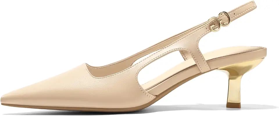 Coutgo Womens Low Kitten Heels Slingback Pumps Closed Pointed Toe Buckle Party Work Dress Shoes