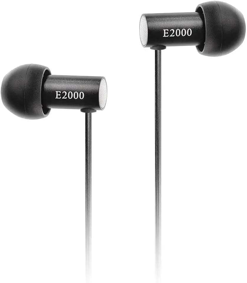 Final Canal Type Earphone E2000 FI-E2DALã€Japan Domestic Genuine productsã€‘
