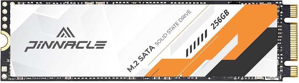 Timetec 256GB SSD 3D NAND SATA III 6Gb/s M.2 2280 NGFF 128TBW Read Speed Up to 550MB/s SLC Cache Performance Boost Internal Solid State Drive for PC Computer Laptop and Desktop (Pinnacle)
