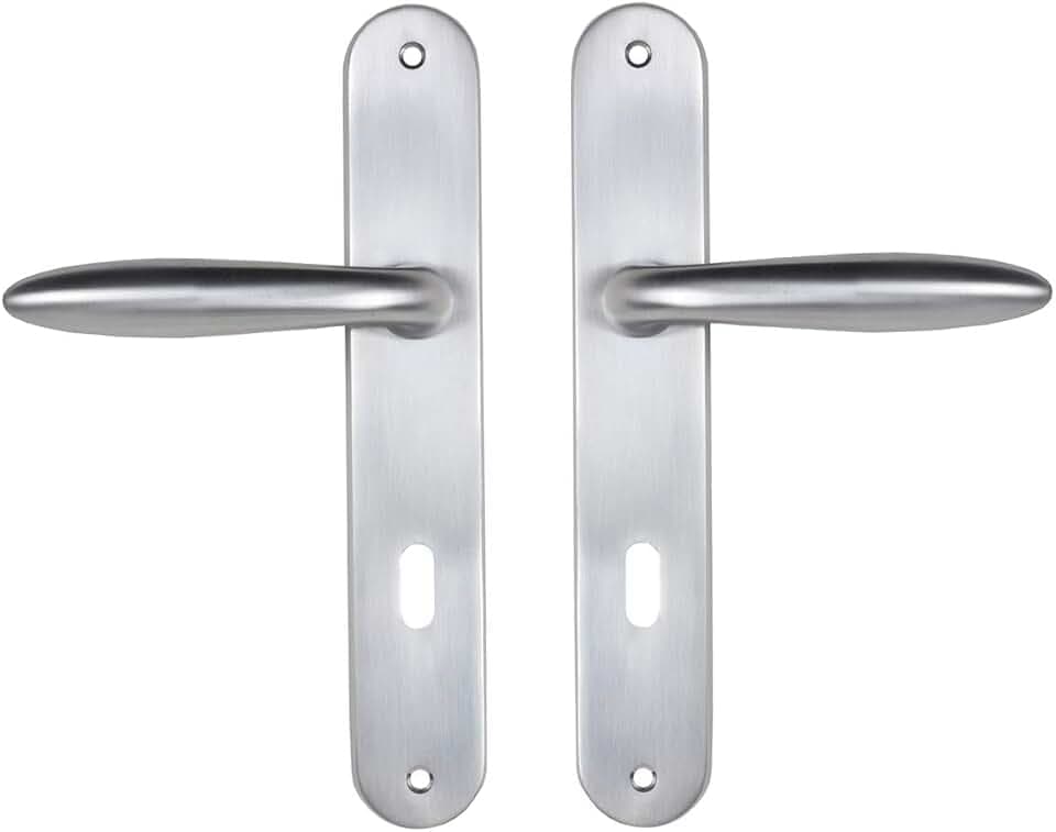 Bricard 984050 Set Griffe, Zamak, auf Platte, Skizzenschild, Innentür, silberfarben