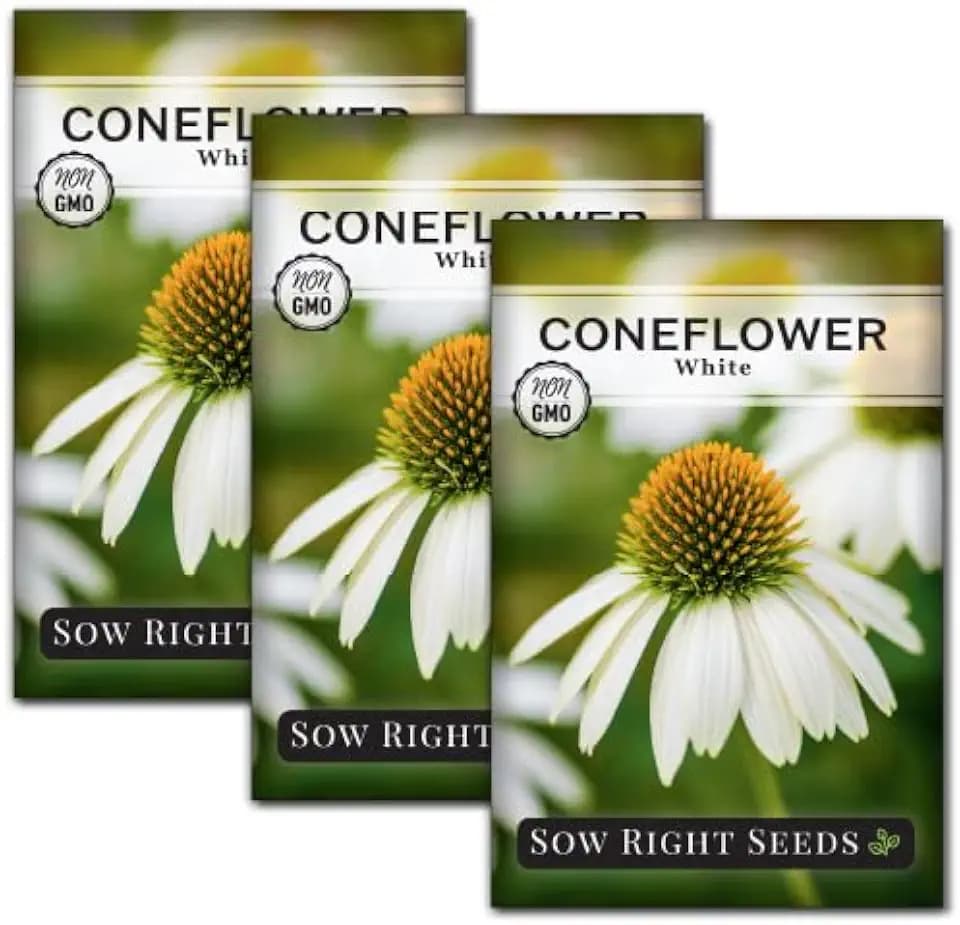 Sow Right Seeds- White Coneflower Seed for Planting Your Own Perennials 3pk