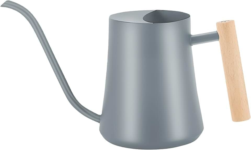 1L Metall Gießkanne, 1000ml 35oz Edelstahl Indoor Gartengießkanne, Grau