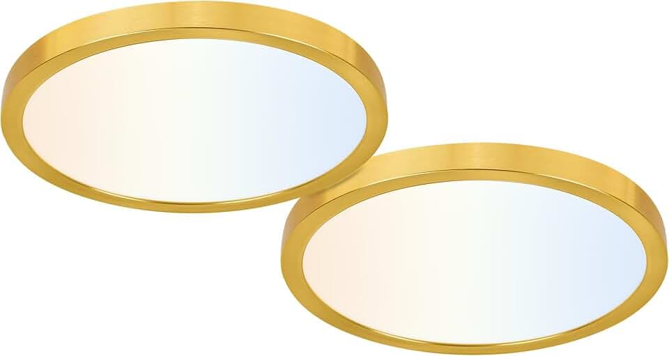 hykolity 12 Inch Selectable CCT LED Round Flat Panel Light,2 Pack