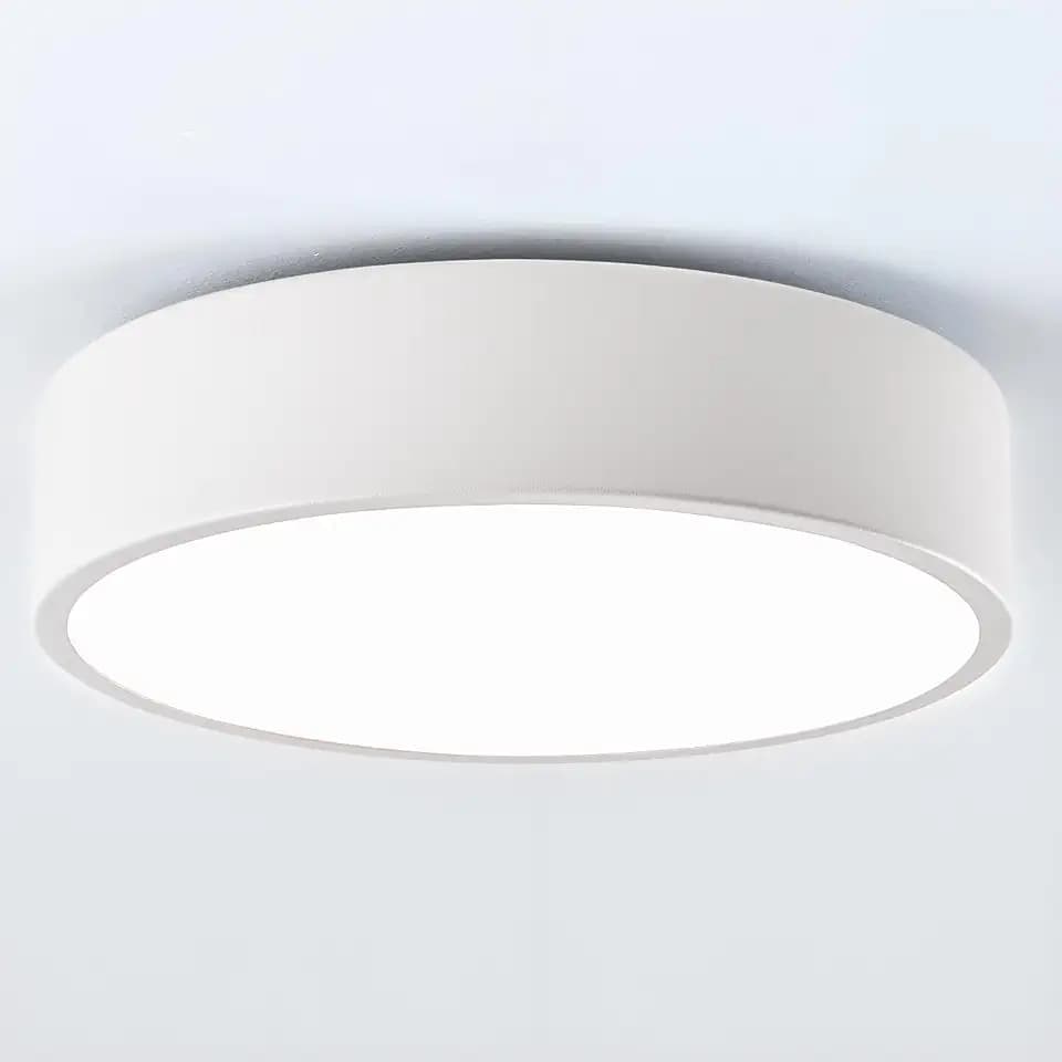 2-Light Modern White Flush Mount Ceiling Light 11.8 Inch