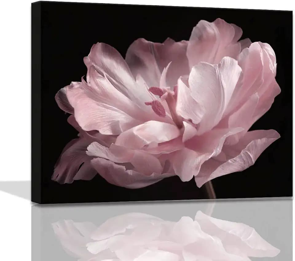 COHLOE Pink Bathroom Decor Wall Art Black And White Decorations Tulip Flower Bedroom Decor Bathroom Pictures Artwork for Home Stretched 16x20inch