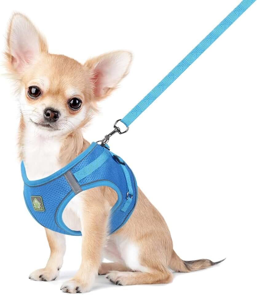FEimaX Hundegeschirr mit Leine für Kleine Mittele Hunde Katzen Weich Mesh Welpengeschirr Atmungsaktive Brustgeschirr Verstellbare Reflektierend No Pull Weste Chihuahua Katze