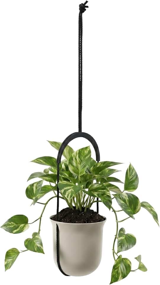 LAMELA Kunststoff Blumenampel höhenverstellbar, Ø 18 cm, 2,3 L - Beige