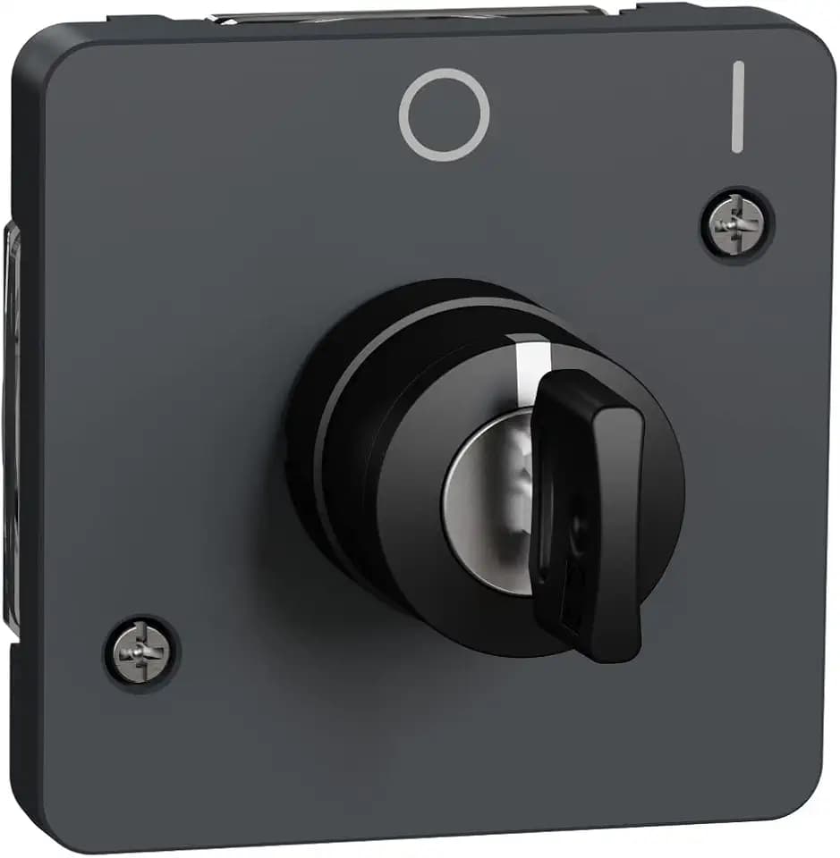 Schneider Electric MUR35062 Schlüsselschalter, 2 Positionen, Grau