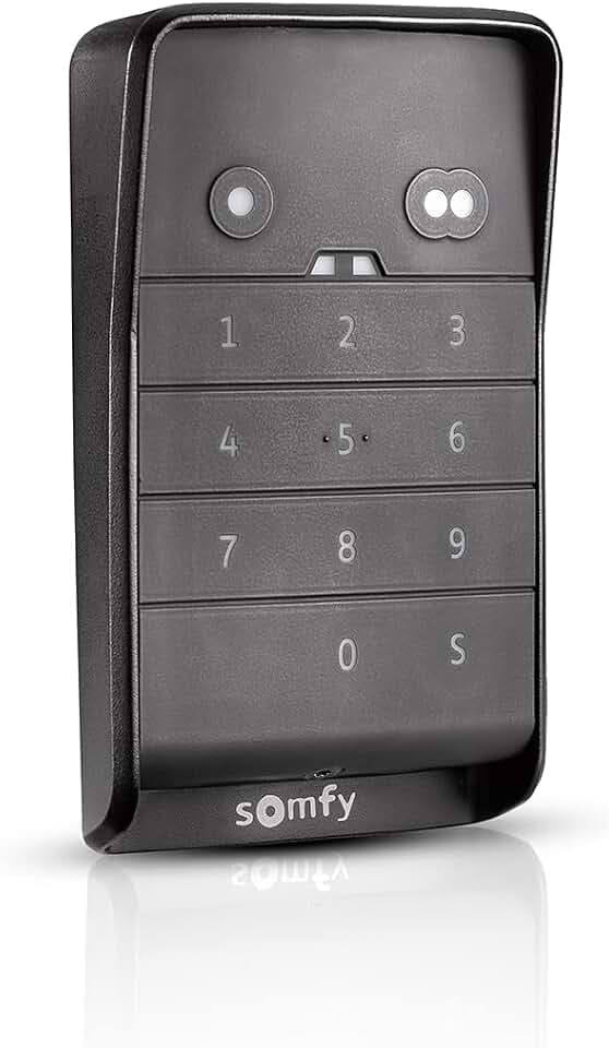 Somfy 1870916 - RTS Funkcodetaster 2 Tasten | Um einen RTS Garagen- oder Torantrieb mit einem Code zu öffnen