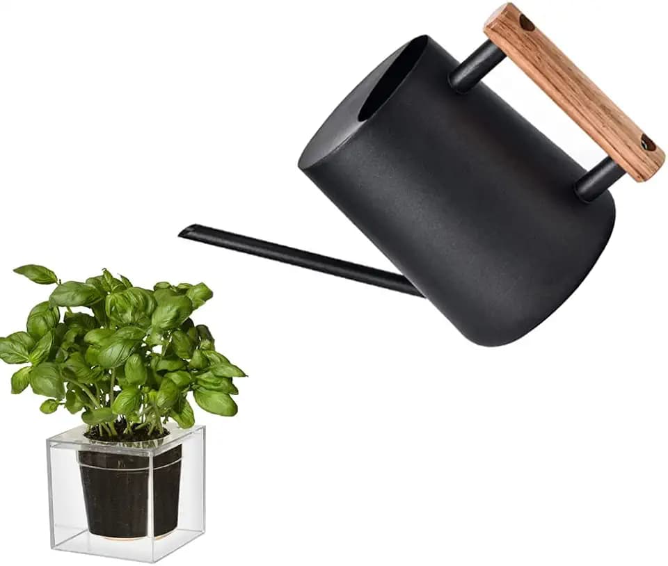 1L Schwarze Gießkanne für Zimmerpflanzen - Edelstahl Mit Langem Auslauf und Holzgriff für Kleinere Topfpflanzen, Außenpflanzen, Sukkulenten, Kräutergarten, Blumen