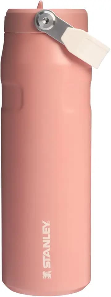 STANLEY IceFlow Flip Straw 2.0 Bottle, 24 oz, Sienna