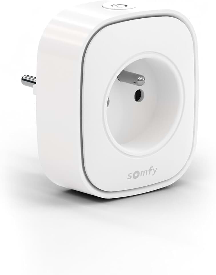 Somfy 1871215 - Zigbee Funk-Zwischenstecker