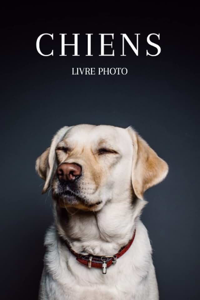 Livre photo des chiens : Cadeau adapté pour seniors et personnes souffrant de démence ou d’Alzheimer – 35 belles images de chiens - Grand format