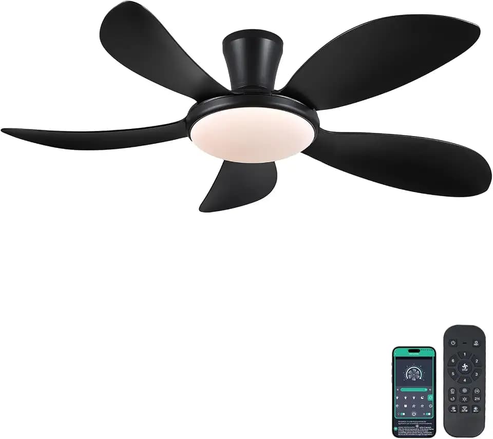 PHORUS 48"Black Low Profile Flush Mount Ceiling Fans with Lights and Remote