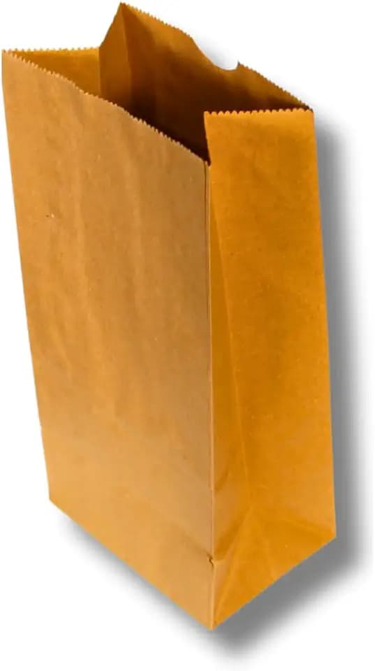 Packhaus Supply Brown Paper Bags | 500 Count | #4 Size (5 x 9.5 in) Kraft Paper Bags | Ideal for Food, Retail, Parties & Crafts