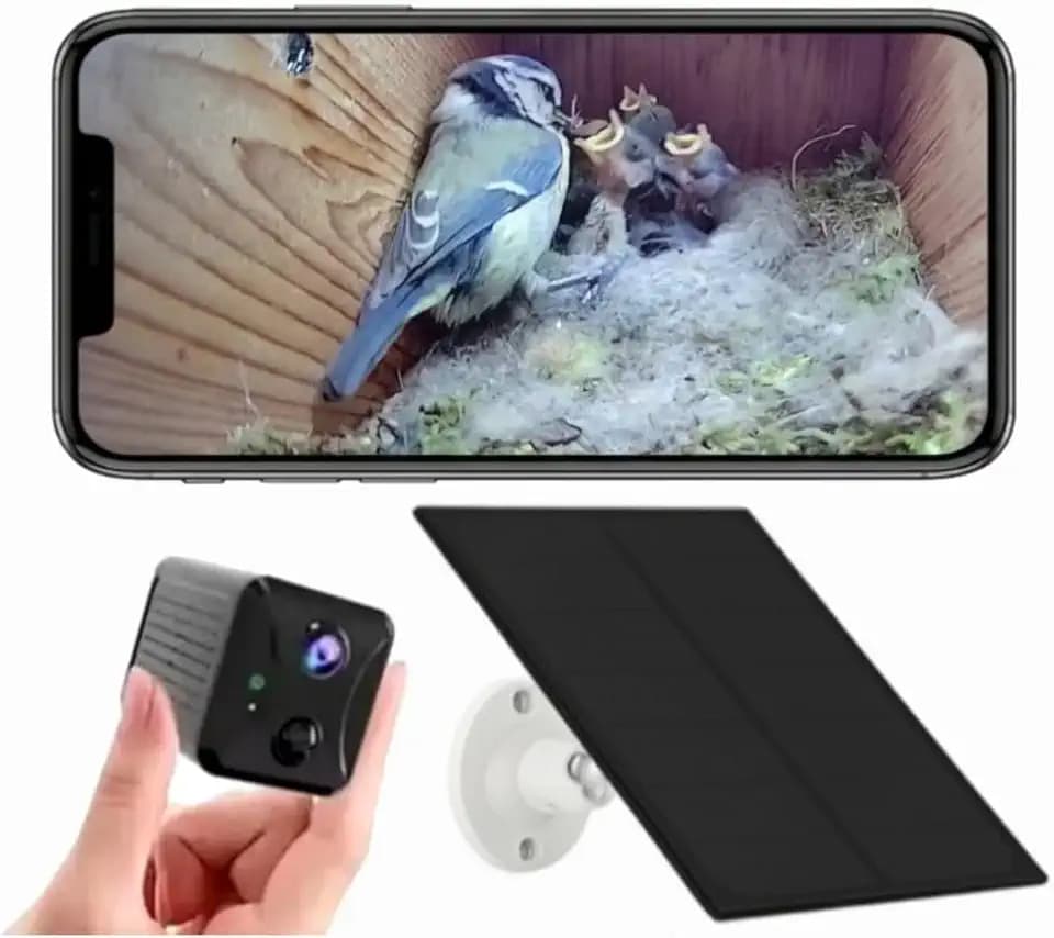 Solar Bird Box Camera with WiFi – Wireless HD Nest Box Camera with Night Vision | Live Stream Garden Birds to Your Phone | Solar Powered Wildlife Camera