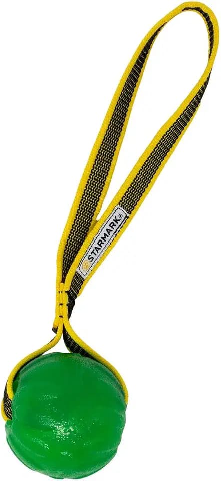 Starmark GripCord Chew Ball on Loop Medium Dogs 2.5-in