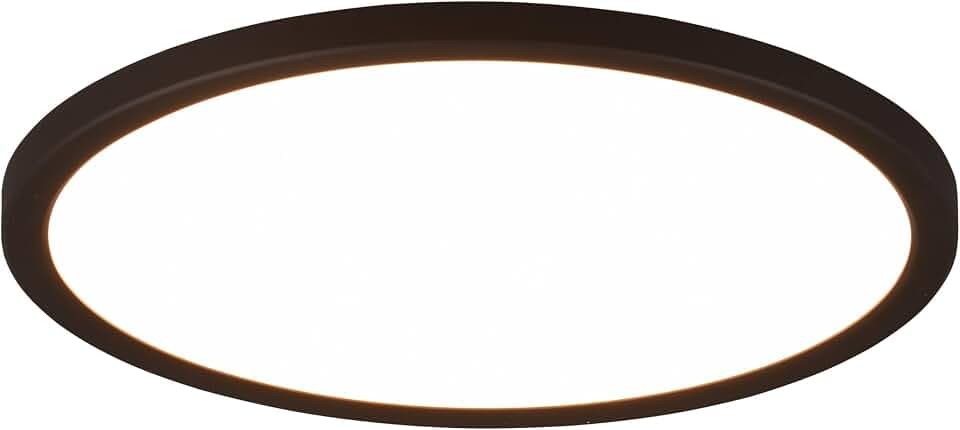 Reality Leuchten LED Deckenleuchte Aureo R64371132, Kunststoff Schwarz matt, inkl. 18 Watt LED, Farbwechsel, Fernbedienung