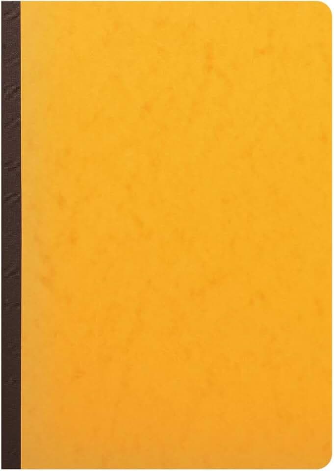 Exacompta 17100E Mehrkolonnenheft (DIN A4, 21 x 29,7 cm, gebunden mit 10 spalten auf 2 seiten und 34 Zeilen, 40 Blatt, 100 g) 1 Stück