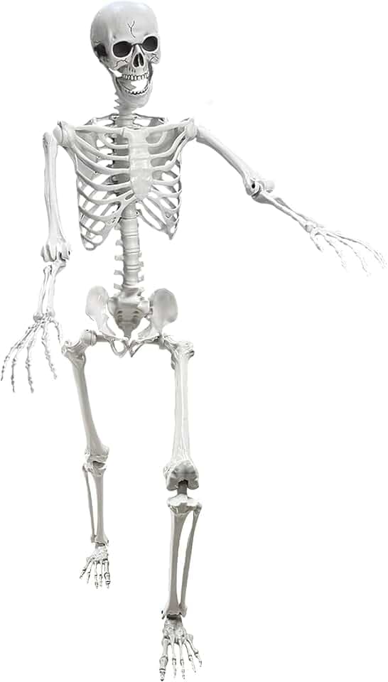 Lodou 5.4Ft Posable Life Size Human Skeleton for Halloween Decoration