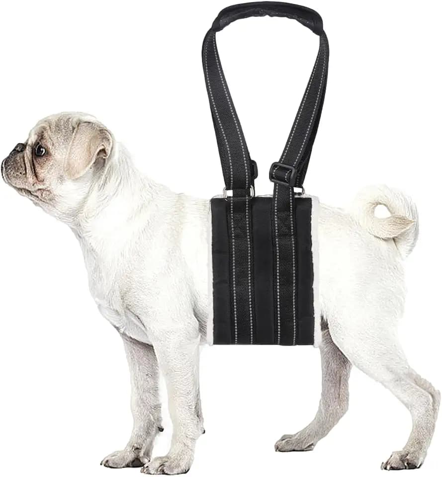 Adjustable Dog Lift Harness Portable Dog Sling for Back Legs (S)
