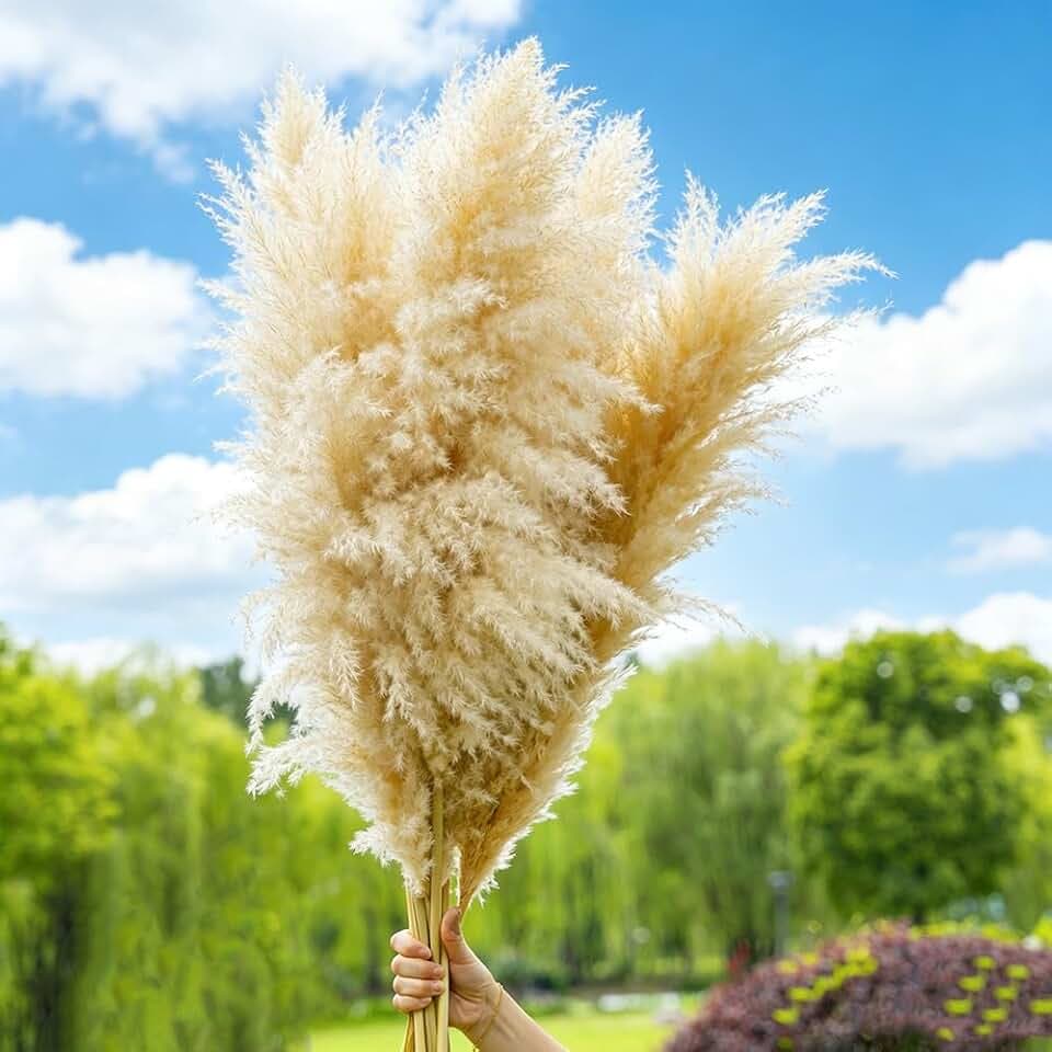 10 Pampas Grass XXL, Deko Gross für Boho DekoWohnzimmer Tisch Schlafzimmer Hochzeits Badezimmer (100cm)