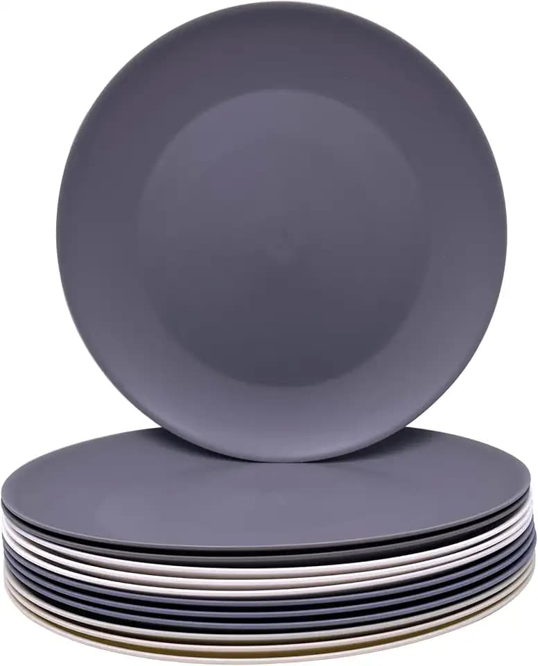 AOYITE 10 inch Plastic Plates Reusable Set 12, BPA Free Kid Plate Grey Tone