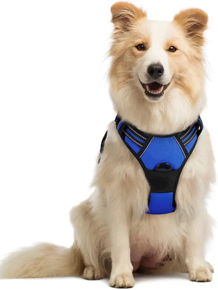 rabbitgoo Hundegeschirr Mittelgroße Hunde Anti Zug mit Griff, M, Blau