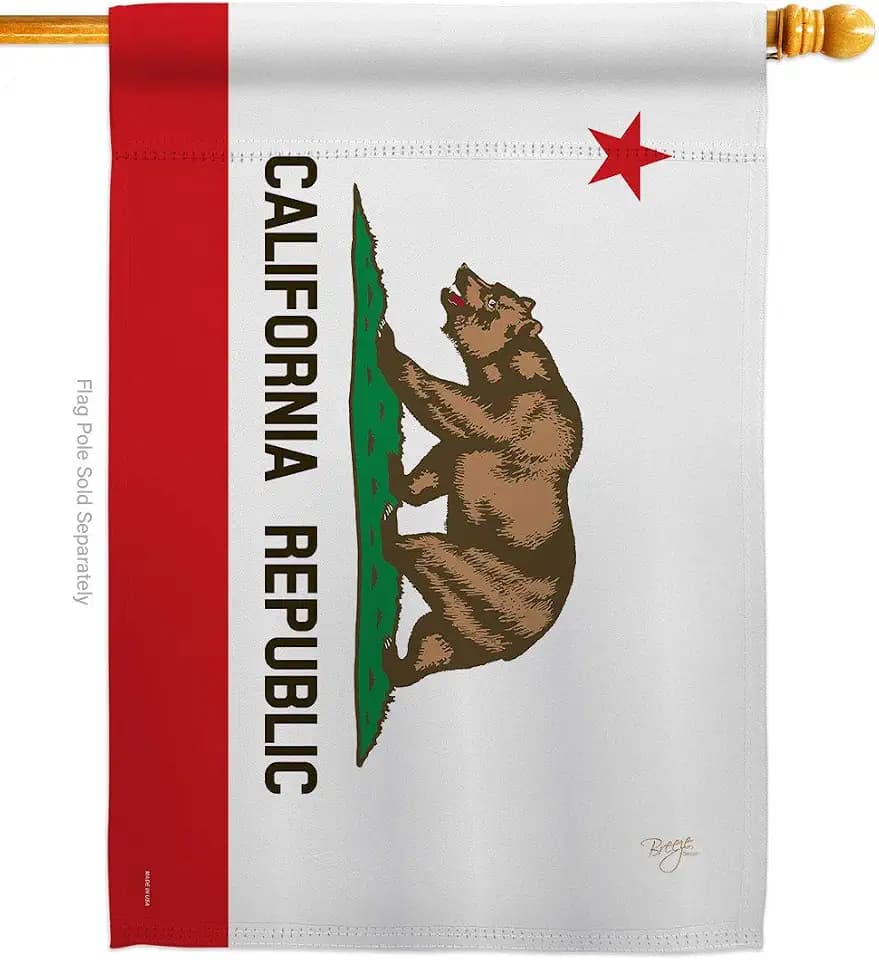 California State House Flag Home Decor CA Tapestry Wall United States Decoration Banner Small Patio Porch Lwan Garden Americana Outdoor Yard Signs American Gift Made In USA