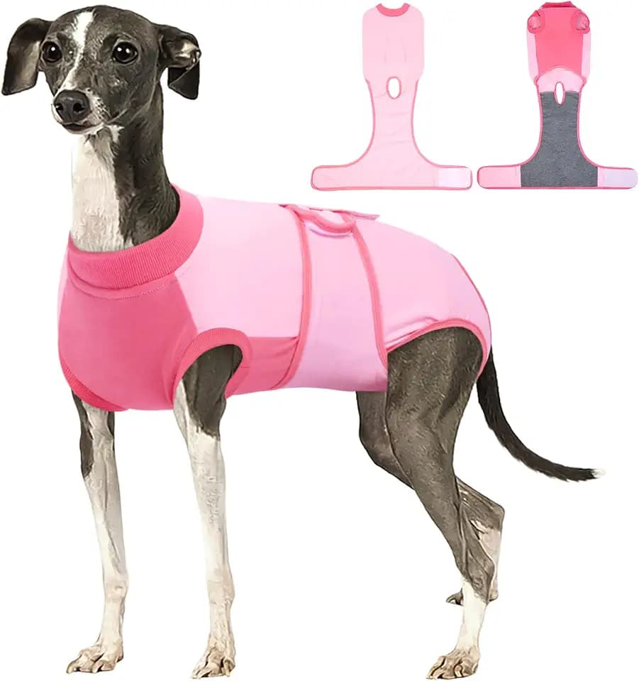 Kuoser Dog Recovery Suit, Female Male Spay Neuter Surgery Suit, Pink, L