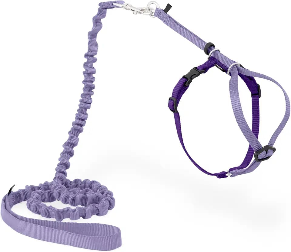 PetSafe Come with Me Kitty Harness and Bungee Cat Leash, Lilac, Small
