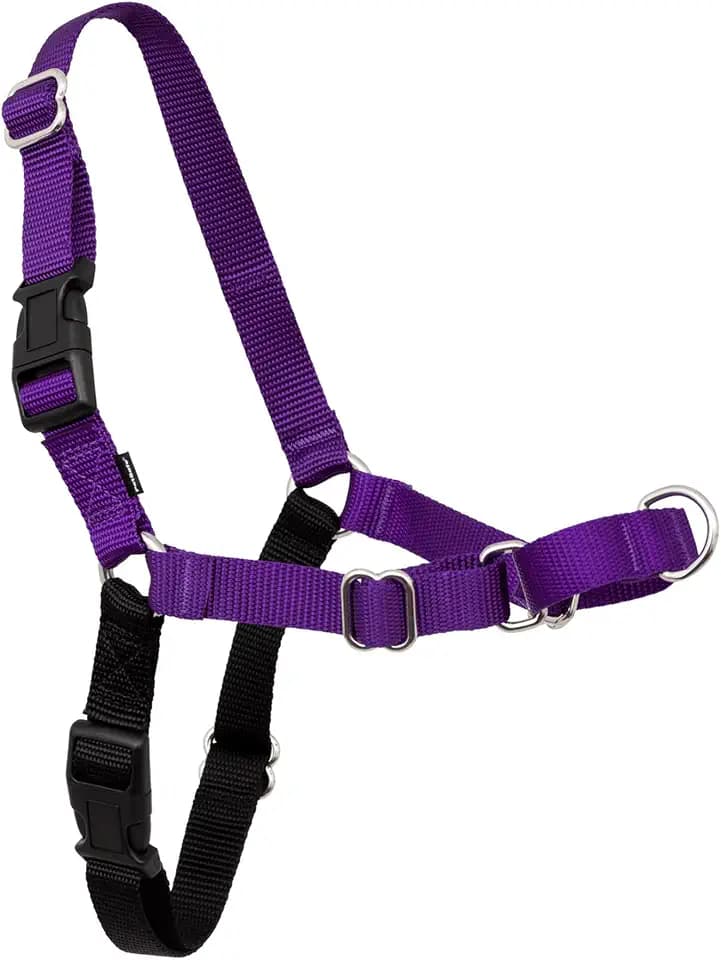 PetSafe Easy Walk Harness, No Pull Dog Harness, Deep Purple, Medium