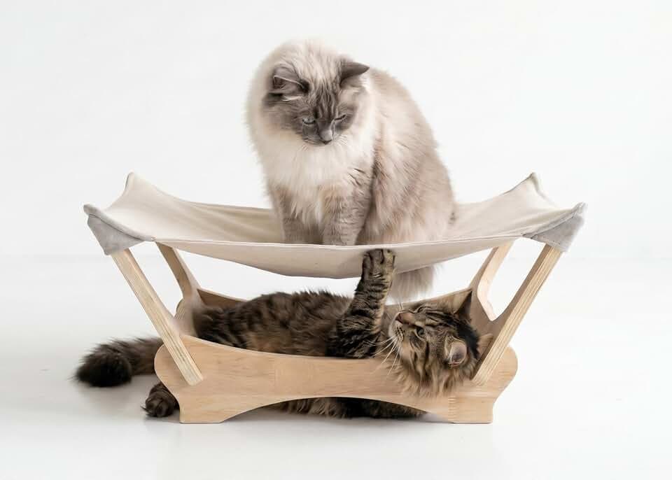 Large Sisal Cat Scratcher Bed, Wooden Lounge for Large & Multi-Cat Homes